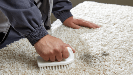 Professional Rug Cleaning Point Cook