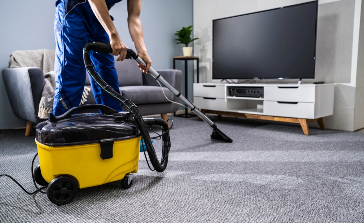 Extract Rug Cleaning Point Cook Contact Office